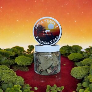 7 Aafrika Vaimu | Taimesegu