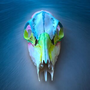 Täiuslik tasakaal ja harmoonia